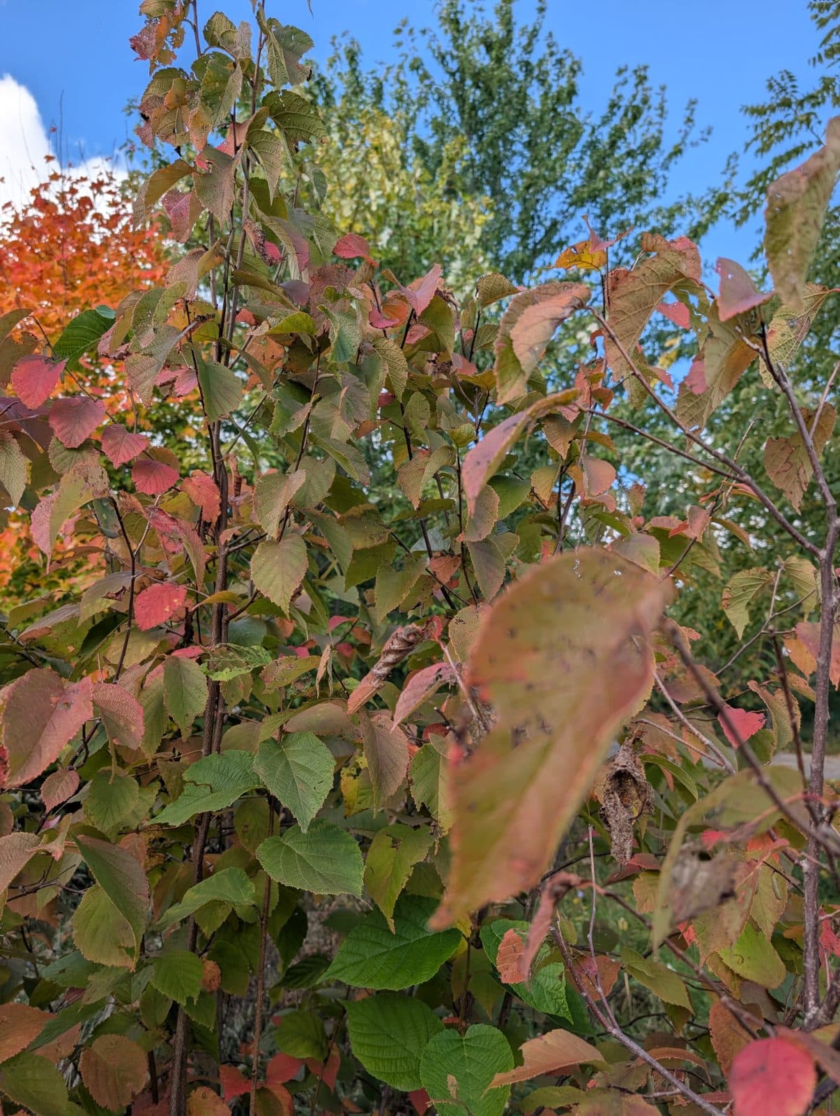 Photo from this update